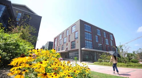 28億軟件服務外包市場 行業趨勢與前景展望