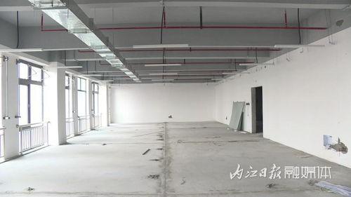 跑出“加速度”，內江軟件與信息技術服務外包產業園一期項目建設進度條已達95%